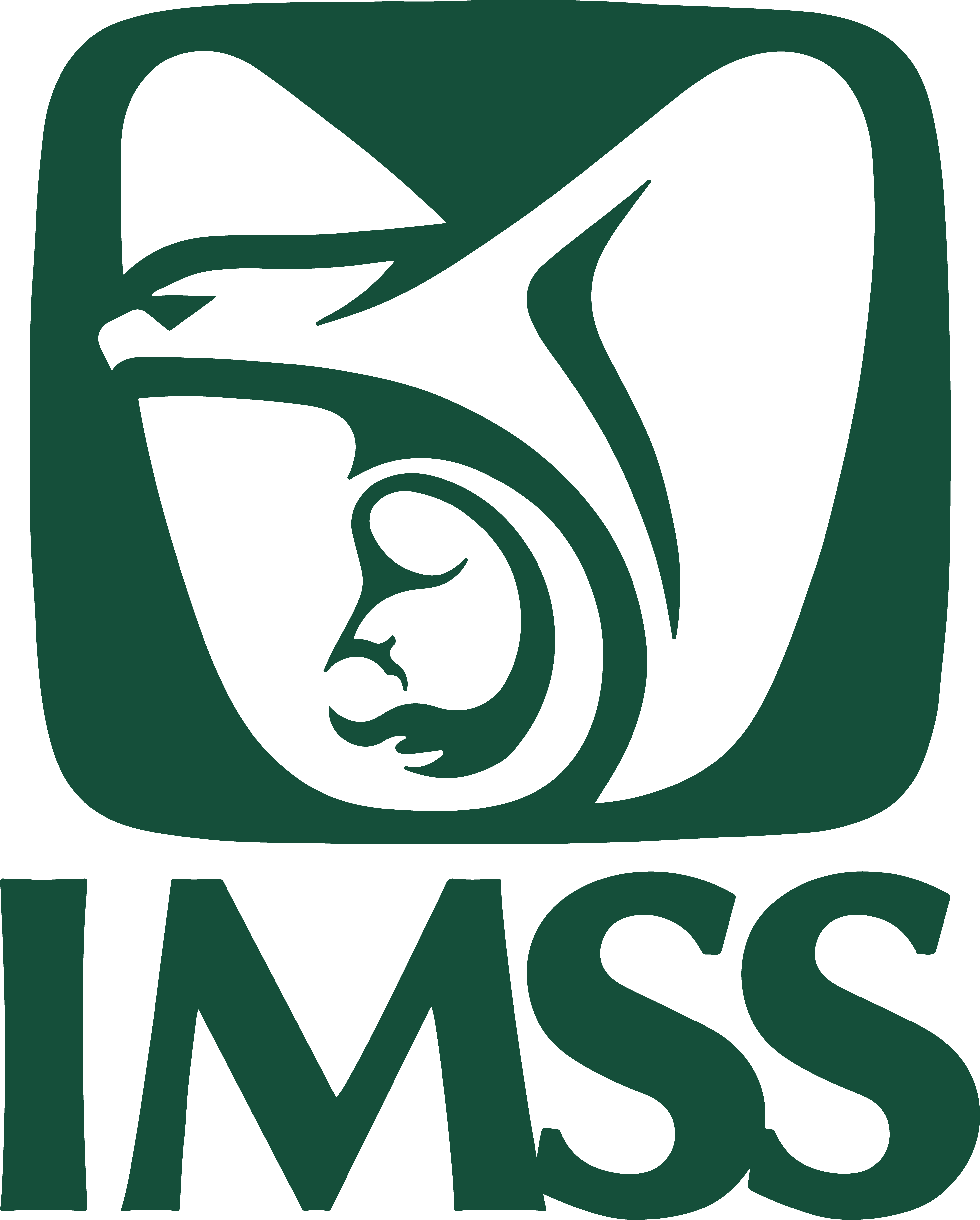 imsslogo